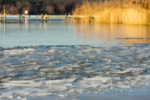 Berlin, Wannsee, Ufer im Winter Berlin, Wannsee, Ufer im Winter